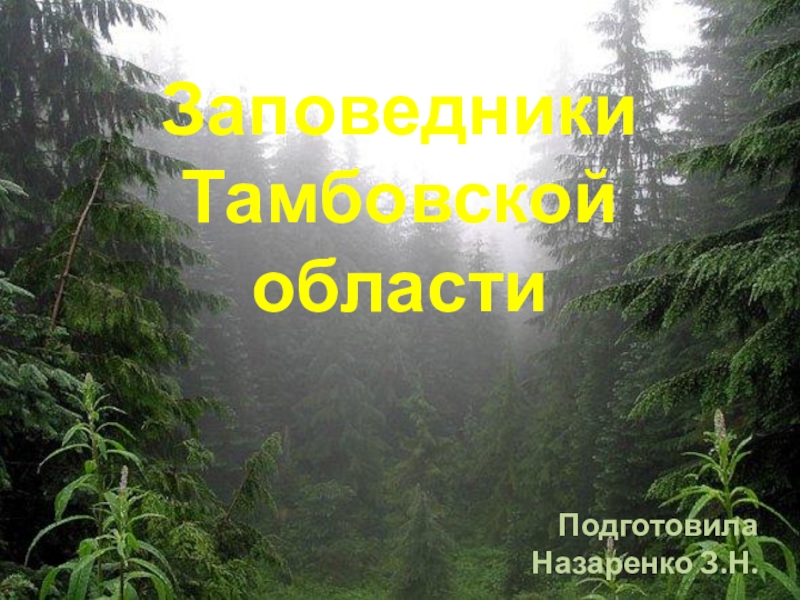 Презентация Презентация по окружающему миру Заповедники Тамбовской области