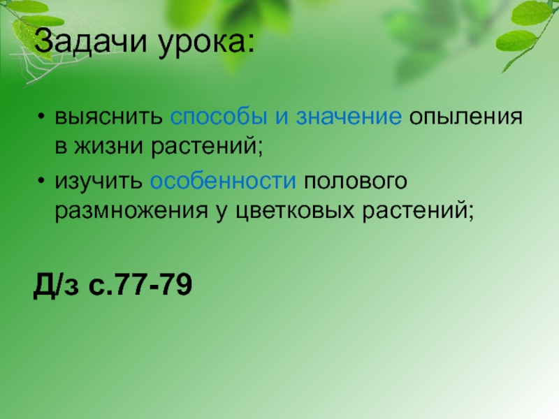 Задачи растения. Выяснить способы и значение опыления в жизни растений..