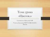 Презентация по биологии на тему Цветок (6 класс)