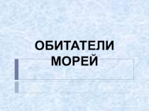 Презентация по окружающему миру Обитатели морей(2 класс)