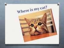 Презентация по английскому языку по теме Предлоги (3 класс).