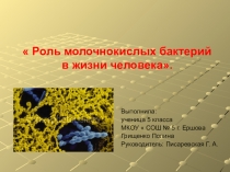 Проект  Роль молочнокислых бактерий Выполнила ученица 5 класса МКОУ  СОШ № 5 г. Ершова Грищенко Полина