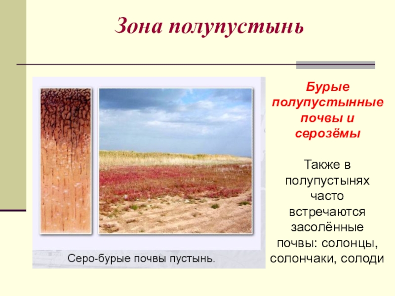 Природные зоны по степени плодородия. Бурые почвы полупустынь характеристика почв. Бурые полупустынные почвы природная зона в России. Бурые полупустынные почвы таблица. Почвы пустынь и полупустынь в России таблица.