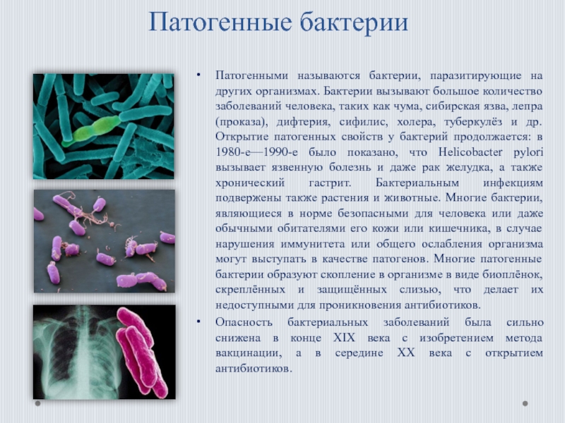 Микроорганизмами ii группы патогенности