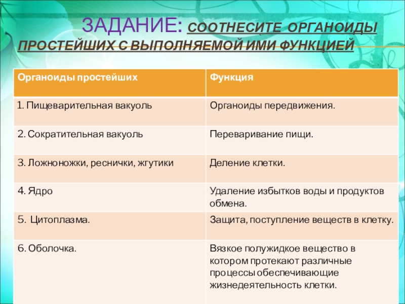 Установите соответствие между органоидами. Функции органоидов амебы. Функции органоидов клетки 5 класс. Амеба таблица органоиды и функции. Органоиды простейших и их функции.