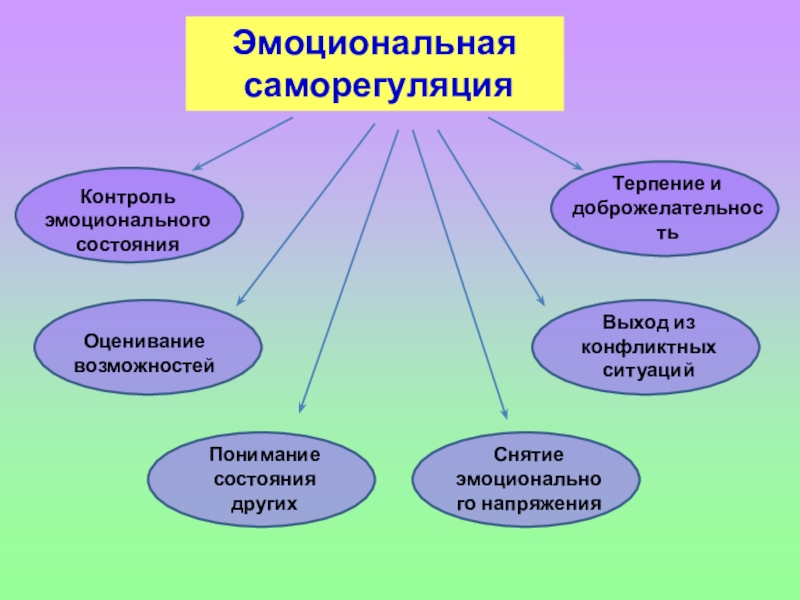 Саморегуляция организма картинки