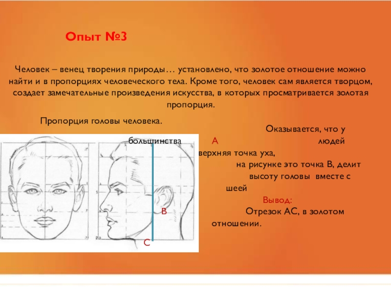 Презентация человек венец творения