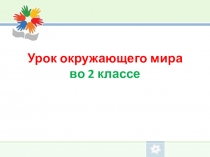 Презентация урока окружающего мира по теме: Чистота-залог здоровья. 2 класс. ПНШ.