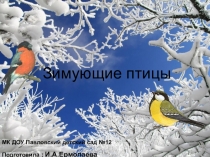 Презентация к занятию по развитию речи Зимующие птицы