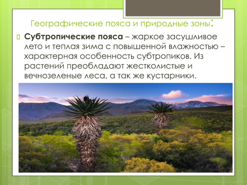 Страны в субтропическом поясе