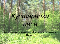 Презентация по окружающему миру на тему Кустарники леса