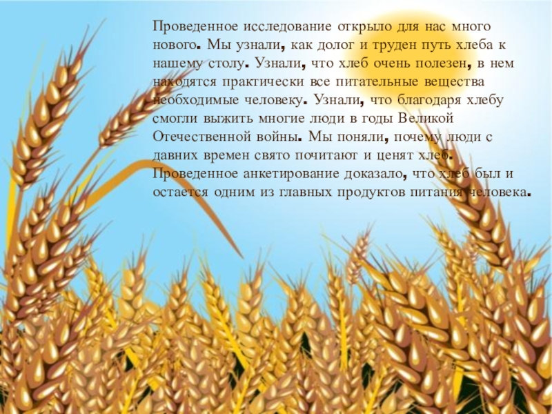 Проведенное исследование открыло для нас много нового. Мы узнали, как долог и труден путь хлеба к нашему