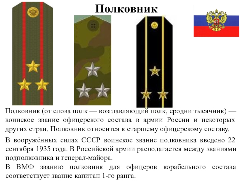 После генерала полковника какие звания. Звание полковник в Российской армии. Майор подполковник звания. Полковник ранг. Полковник чины.