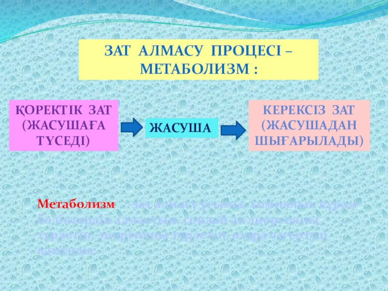 Масса алмасу процестері презентация