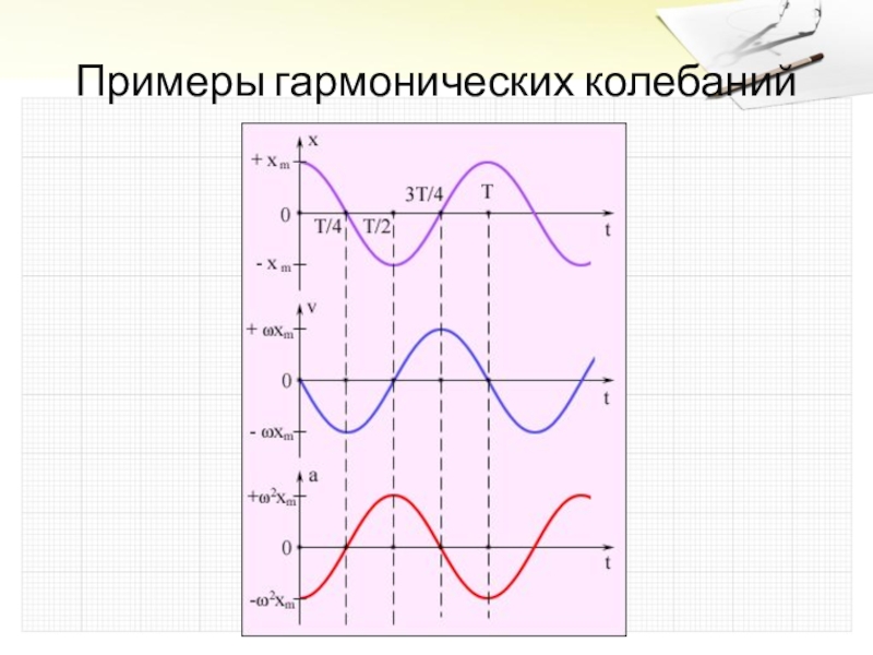 График колебаний рисунки. График гармоничного колебания 10 класс Алгебра. График гармоничных колебаний. Графики гармонических колебаний. Гармонические колебания примеры.