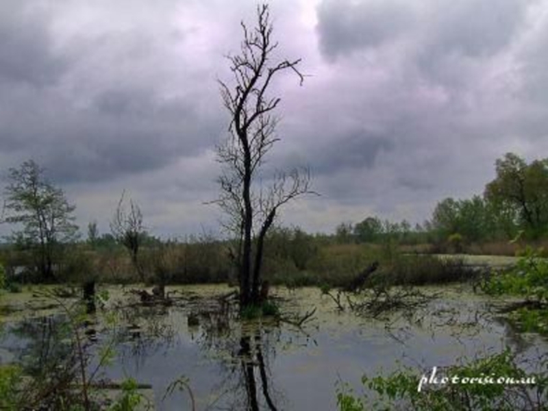В углублениях суши образуются озера и болота.