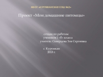 Презентация по окружающему миру на тему Мои домашние питомцы ( работы учащихся 1 б класса)