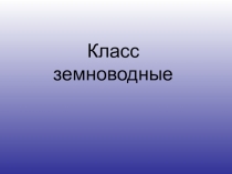 Презентация по биологии: Класс земноводные