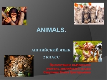 Презентация Рассказ о животных