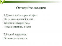 Презентация по биологии на тему Наземная экосистема - лес