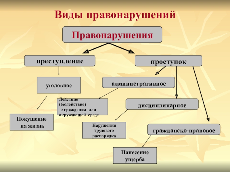 Виды правонарушений схема