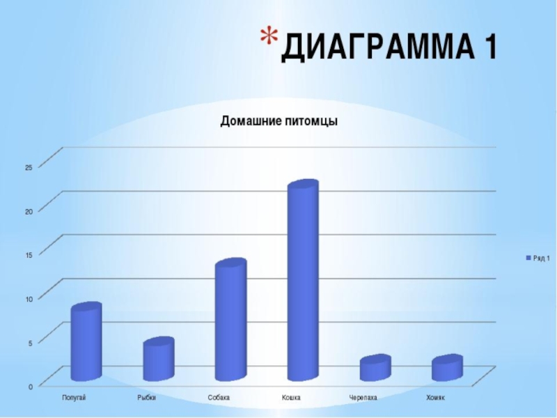 Породы собак диаграмма