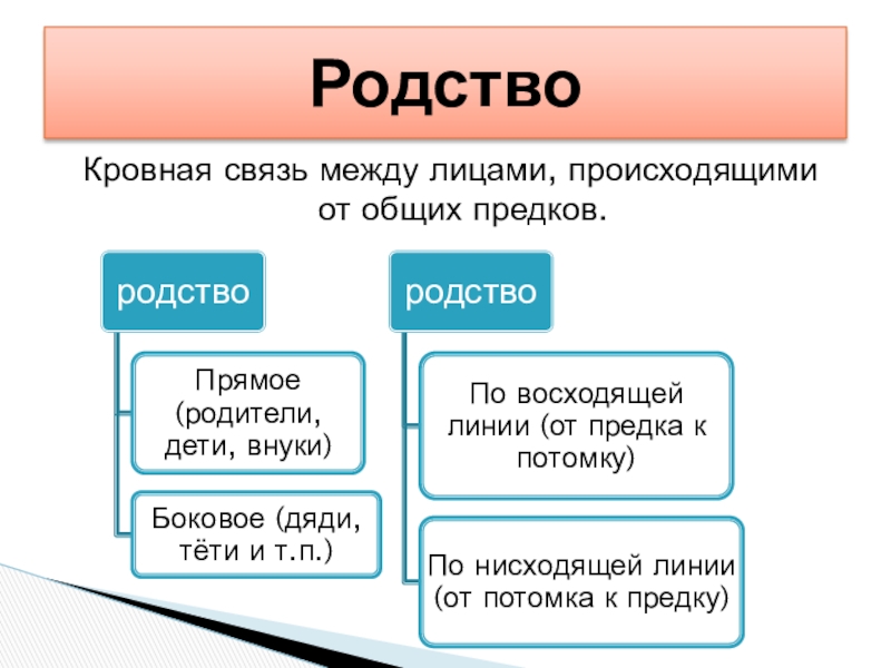 Родство. Кровное родство. Кровные связи. Пример кровного родства. Родственные кровные связи.