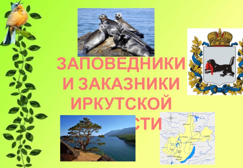 Презентация Презентация по экологии на тему Заповедники и заказники Иркутской области