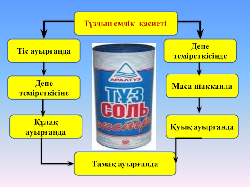 Ғылыми жоба тұздың құпиясы презентация