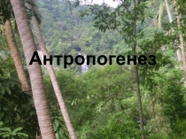 Презентация по биологии по теме Антропогенез