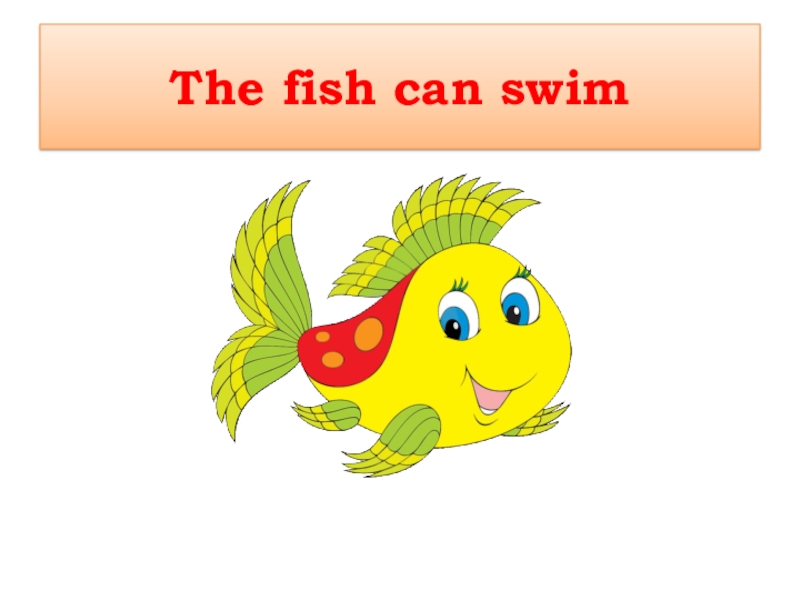 Слово fish swim