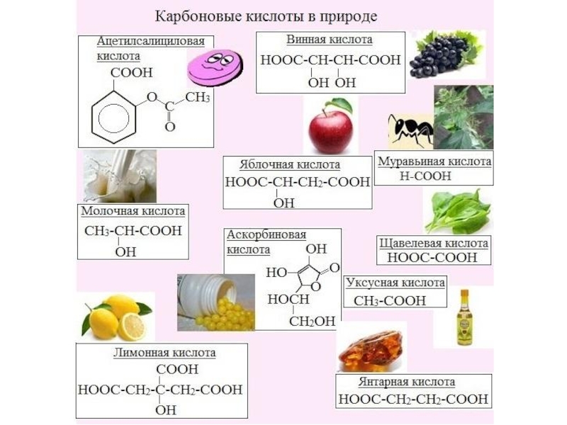 Проект карбоновые кислоты