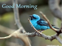 Парк Гулливер