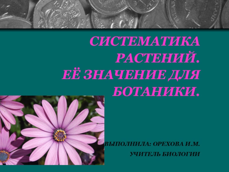 Презентация по биологии 6 класс систематика растений