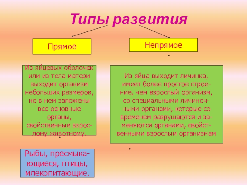 Заполните схему типы развития животных