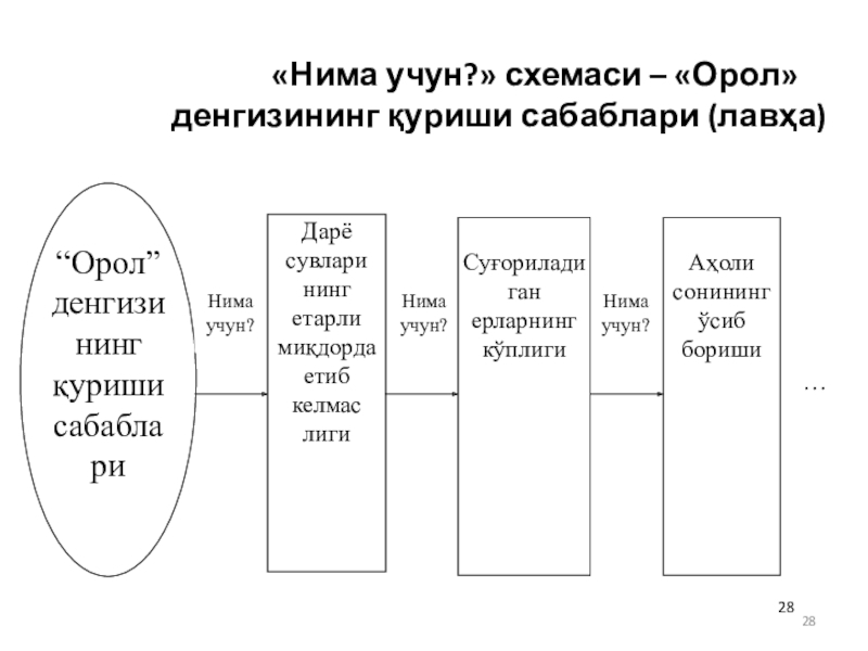 Курс нима. Структура нима. Презентация нима. WORDДА структура нима. Протокол нима.