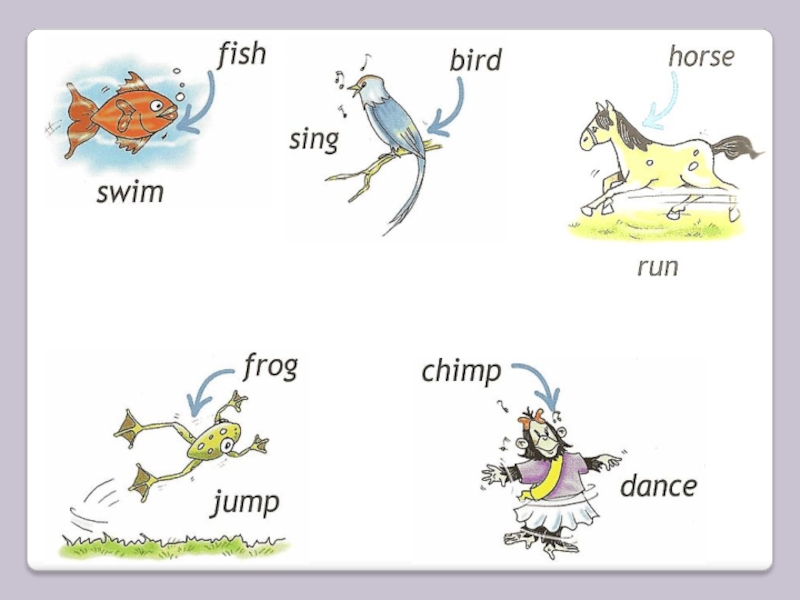 Английский язык 2 класс animals