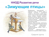 Презентация ННОД в средней группе по ОО Развитие речи ЗИМУЮЩИЕ ПТИЦЫ