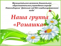 наша группа Ромашка