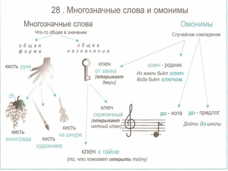 Омонимы отличие от многозначных