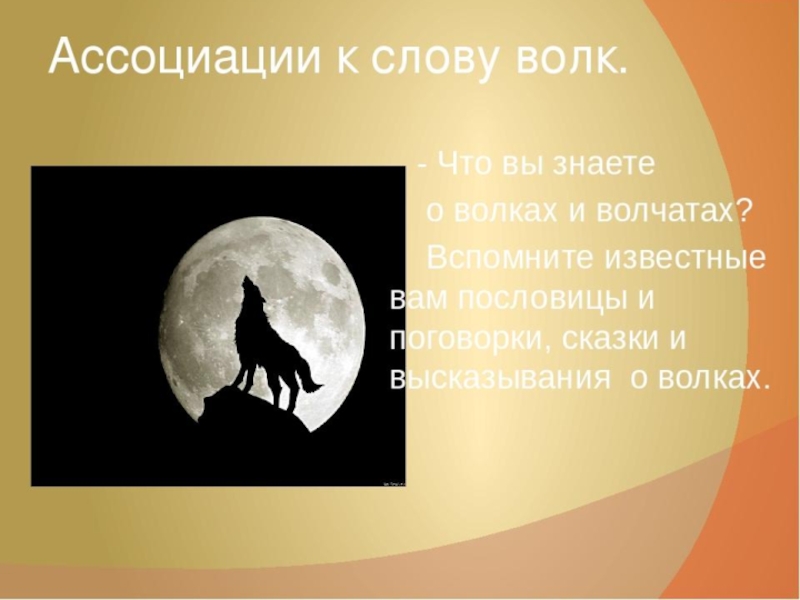 Речь волка. Олжас Сулейменов волчата. Сулейменов волчата презентация. Стихотворение про волчонка. Волчата о Сулейменов.