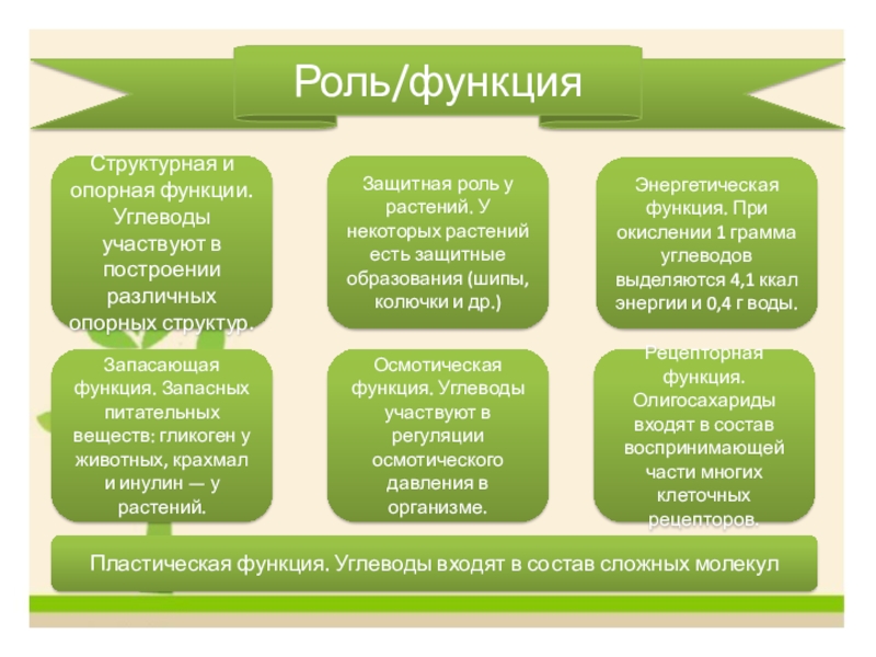 Презентация по биологии 9 класс. Опорная функция углеводов. Функции углеводов таблица. Функции углеводов биология. Функции углеводов биология таблица.