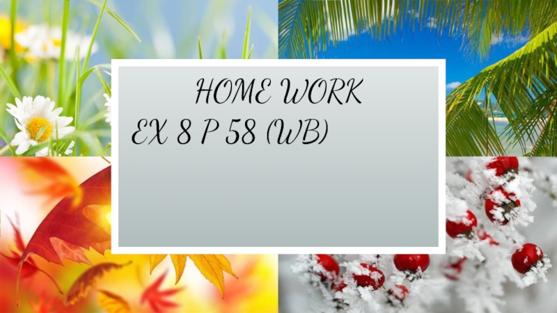 HOME WORKEX 8 P 58 (WB)