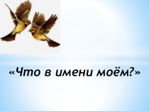 Презентация научно - исследовательской работы Что в имени моем?