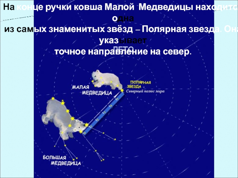 На конце ручки ковша Малой Медведицы находится однаиз самых знаменитых звёзд – Полярная звезда. Она указываетточное направление