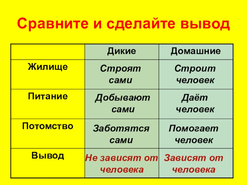 Сравните питание. Таблица «сравнение диких и домашних животных». Вывод о диких животных. Вывод Дикие животные. Заполни таблицу Дикие животные домашние животные.