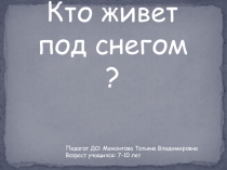 Презентация по изобразительному искусству на тему Кто живет под снегом?