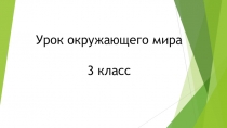 Презентация к уроку окружающего мира на тему Пресмыкающиеся (3 класс)