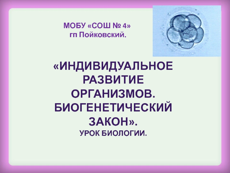 Биология индивидуального развития. Биогенетический биология 9 класс.