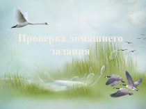 Презентация по биологии Птицы